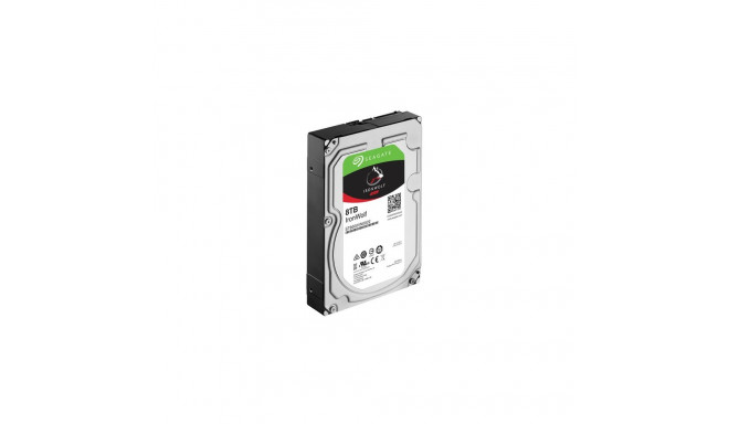 Seagate IronWolf 8TB 3.5'' SATA III (6Gb/s) serveriketas (ST8000VN004)