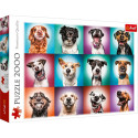 TREFL puzzle Dogs 2000 pcs