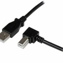USB A - USB B Kaabel Startech USBAB1MR             Must