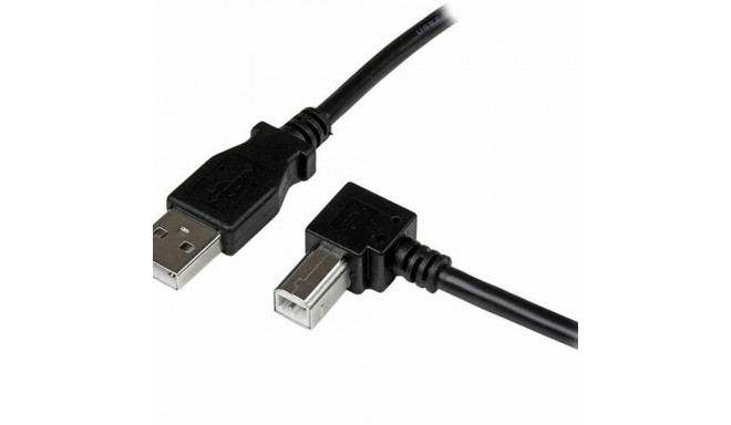 USB A to USB B Cable Startech USBAB1MR             Black