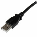 USB A to USB B Cable Startech USBAB1MR             Black