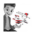 Lennuk R/C, Buki