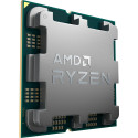 AMD Ryzen 7 7800X3D - Socket AM5 - processor (tray version)