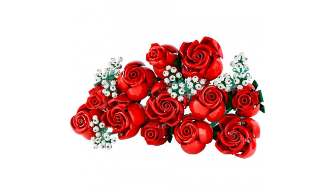 Icons 10328 roosikimp