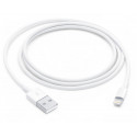 Apple cable Lightning - USB 1m