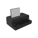 ICY BOX IB-2914MSCL-C31, docking station (2.5/3.5 SATA, M.2 NVMe)