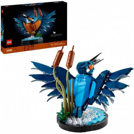 10331 Icons Eisvogel