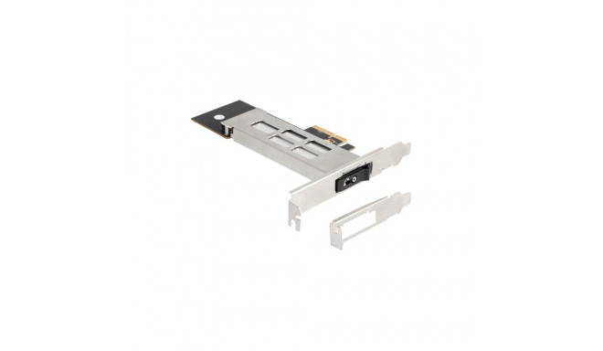 DeLOCK DeLock removable frame PCI Express card for 1 x M.2 NMVe SSD, interface card