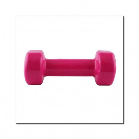 Vinyl-coated cast iron weight 1.5kg 17023 17-47-003