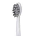 Adler 2-in-1 Water Flossing Sonic Brush | AD 2180w | Rechargeable | For adults | Number of brush hea