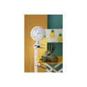 Adler | Fan with clip | AD 7317 | Table Fan | White | Diameter 15 cm | Number of speeds 2 | 30 W | N