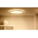 WiZ | Smart WiFi SuperSlim Ceiling 545mm, White | 32 W | 2200-6500 K (RGB)