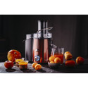 Adler | Juicer | AD 4129 | Type Juicer maker | Copper | 1000 W | Number of speeds 2