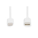 Digitus | DB-600109-020-W | USB-C to Lightning Apple Lightning 8-pin | USB C
