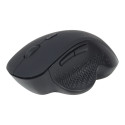 Gembird | Wireless Optical mouse | MUSW-6B-02 | Optical mouse | USB | Black