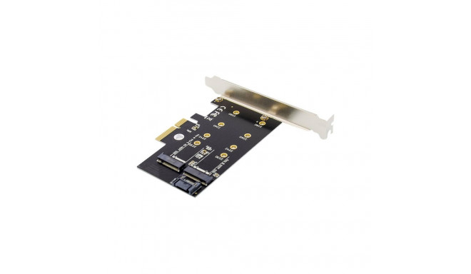 Digitus | M.2 NGFF / NVMe SSD PCI Express 3.0 (x4) Add-On Card | DS-33170