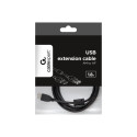 Cablexpert | USB 2.0 A M/FM | USB-A to USB-A USB A | USB A