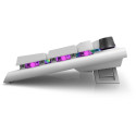 Dell | Alienware Tri-Mode AW920K | Wireless Gaming Keyboard | RGB LED light | US | Wireless | Lunar 
