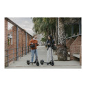 Ninebot by Segway Kickscooter F2 E, Black | Segway | Kickscooter F2 E | Up to 25 km/h | 10 " | Black