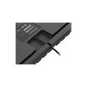 Genesis | THOR 303 TKL | Mechanical Gaming Keyboard | RGB LED light | US | Black | Wired | USB Type-