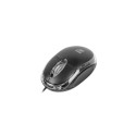 Natec Mouse, Vireo 2, Wired, 1000 DPI, Optical, Black | Natec | Mouse | Optical | Wireless | Green |
