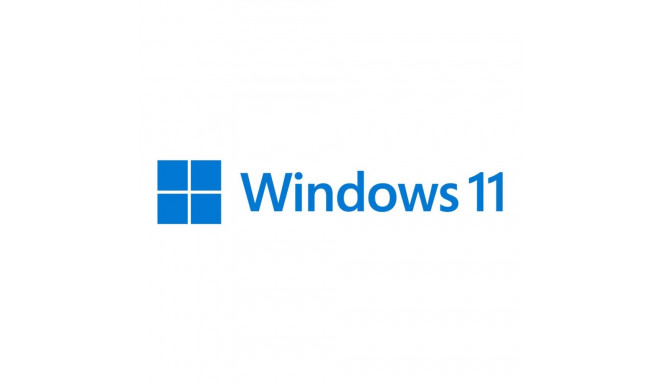 Microsoft | Windows 11 Pro | HAV-00163 | English | FPP | USB | 64-bit