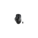 Natec Mouse, BlackBird 2, Silent, Wireless, 1600 DPI, Optical, Black | Natec | Mouse | Optical | Wir