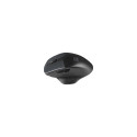 Natec Mouse, BlackBird 2, Silent, Wireless, 1600 DPI, Optical, Black | Natec | Mouse | Optical | Wir