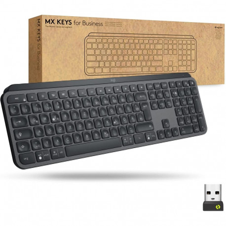 klaviatuur MX Keys for Business DE-Layout, grafiit