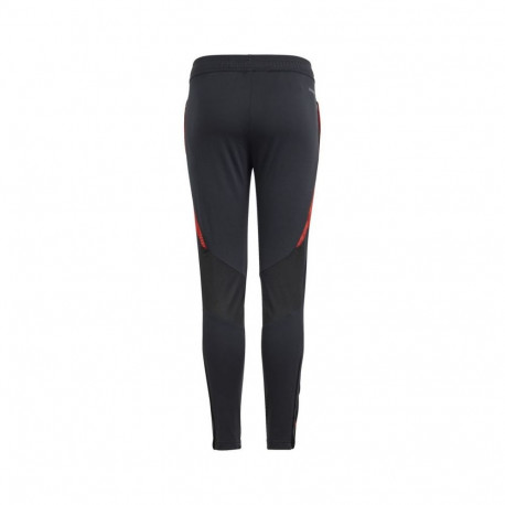 Adidas Tiro 24 Competition Training Jr IS1638 pants (152cm)
