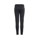 Adidas Tiro 24 Competition Training Jr IS1638 pants (152cm)