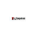 KINGSTON 256GB Canvas React Plus SDXC UHS-II 280R/150W U3 V60 for Full HD/4K