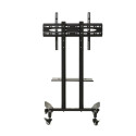 TV trolley stand Maclean, professional, on wheels, max 32-65", max 40kg, MC-739