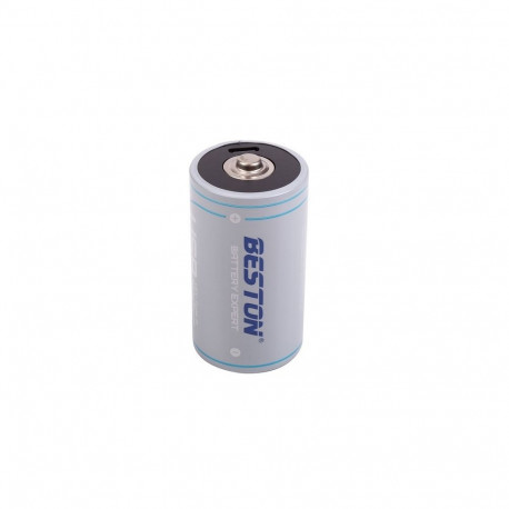 Rechargeable D Size Battery with USB-C Port, 1.5V, 4000mAh, Li-Ion