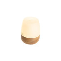 Adler | AD 7967 | Ultrasonic Aroma Diffuser | Ultrasonic | Suitable for rooms up to 25 m² | Brown/Wh