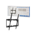 Logilink BP0012 TV Wall mount, 32–55", tilt -14°, 25 mm | Logilink