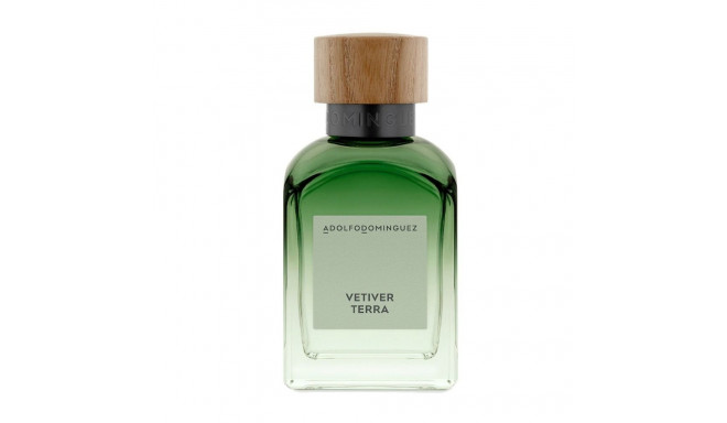 Meeste parfümeeria Adolfo Dominguez Vetiver Terra EDP EDP 200 ml