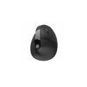 JLab JBUDS ERGONOMIC mouse Right-hand RF Wireless + Bluetooth 2400 DPI