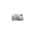 Polti | PTEU0307 Vaporetto SV660 Style 2-in-1 | Steam mop with integrated portable cleaner | Power 1