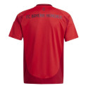 Adidas Bayern Munich Home Jr T-shirt IT2249 (128)