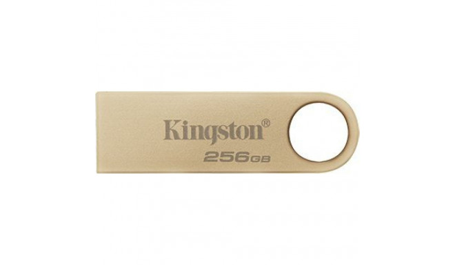 Kingston DTSE9G3 mälupulk, 256 GB (DTSE9G3/256GB)