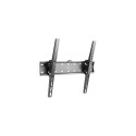Gembird | Wall mount | WM-55T-02 | 32-55 " | Maximum weight (capacity) 40 kg | Black