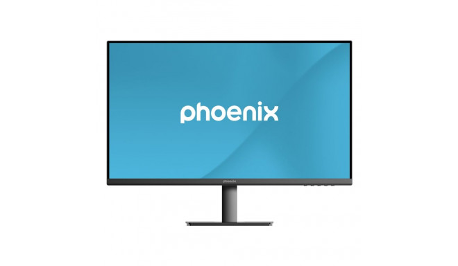 Gaming Monitor Phoenix VISION 27"