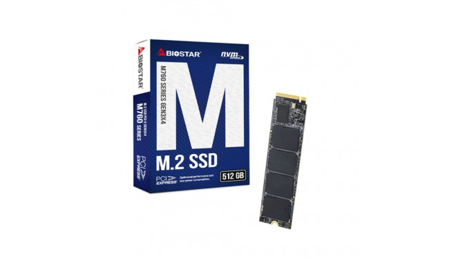 Hard Drive Biostar M760 512 GB SSD