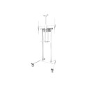 NEOMOUNTS Motorised Mobile Floor Stand VESA 100x100 up to 800x600