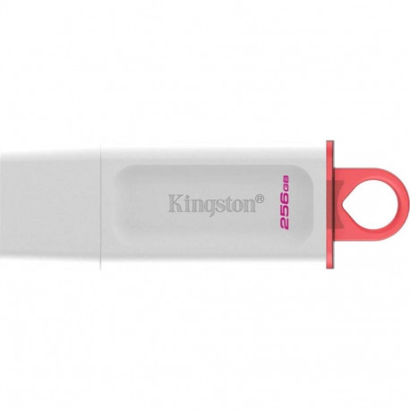 Data Traveler mälupulk Exodia 256GB USB3.2 Gen1, valge