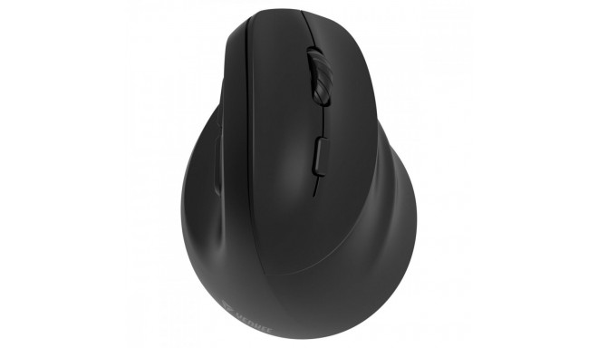 Ergonomic right-handed wireless mouse, Dual WL+BT