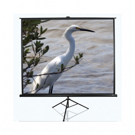 Elite Screens | Tripod Series | T100UWV1 | Diagonal 100 " | 4:3 | Viewable screen width (W) 203 cm |