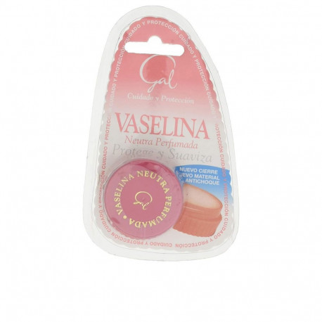 GAL vaseliin neutraalne lõhnastatud 13ml