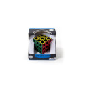RECENT TOYS Logic game Hollow Cube